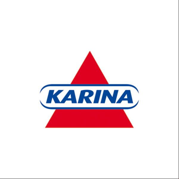 KARINA IND. PLASTICOS LTDA